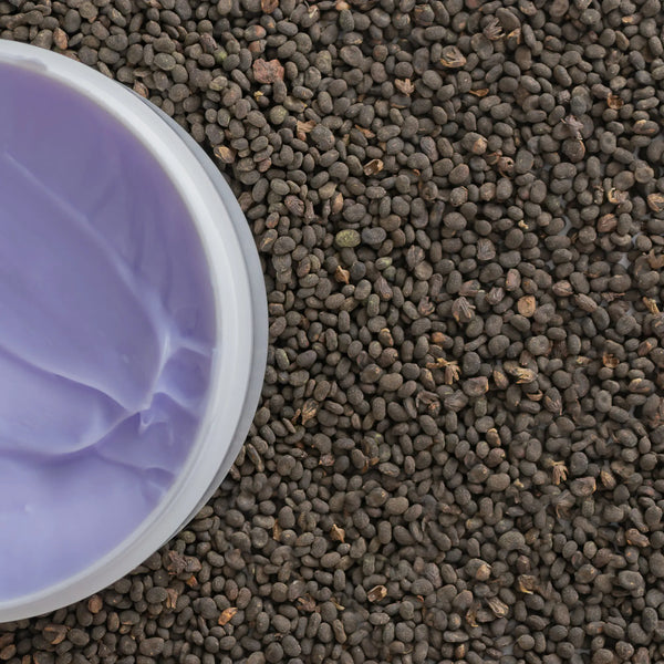 bakuchiol ingredient image