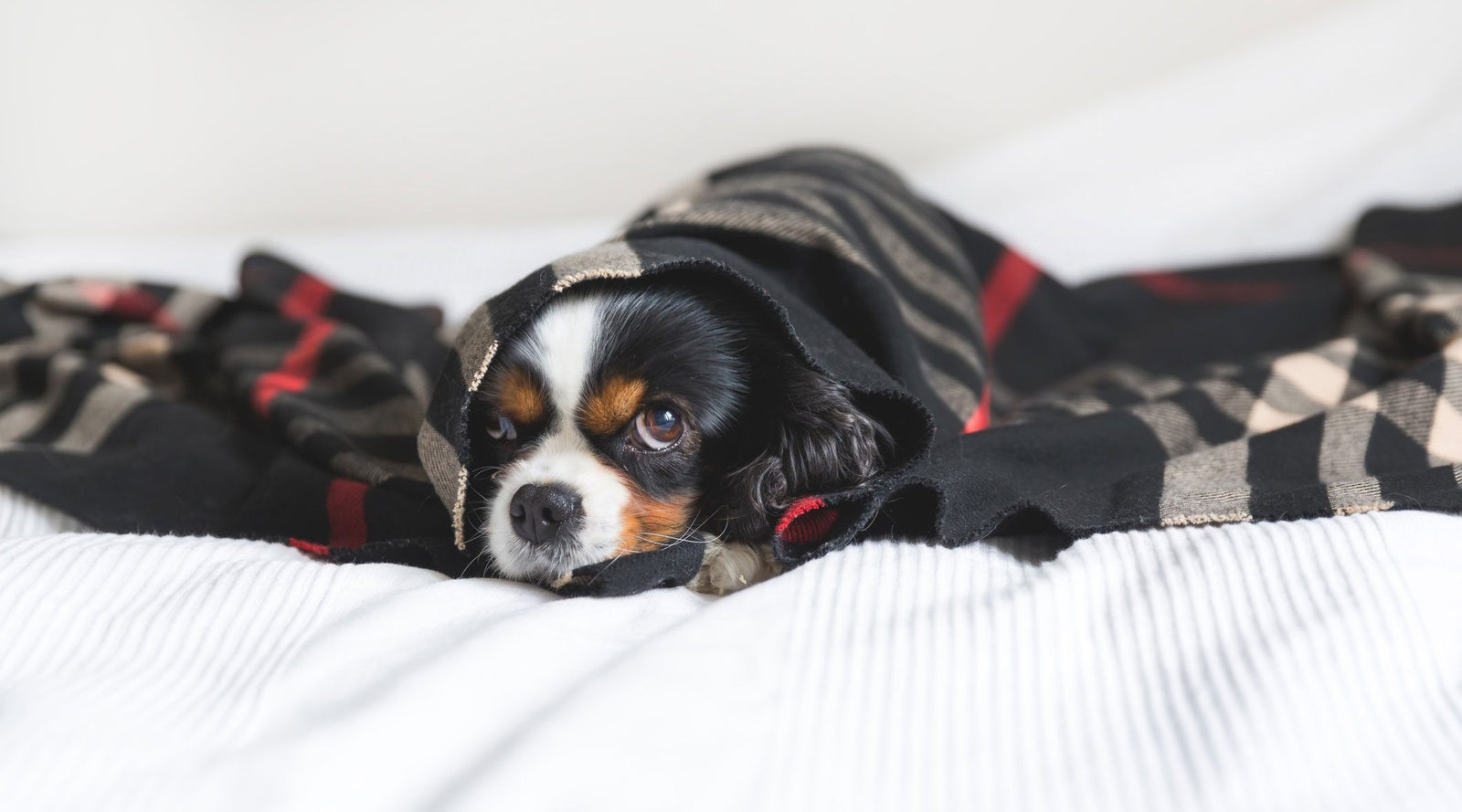 Beat the Winter Blues