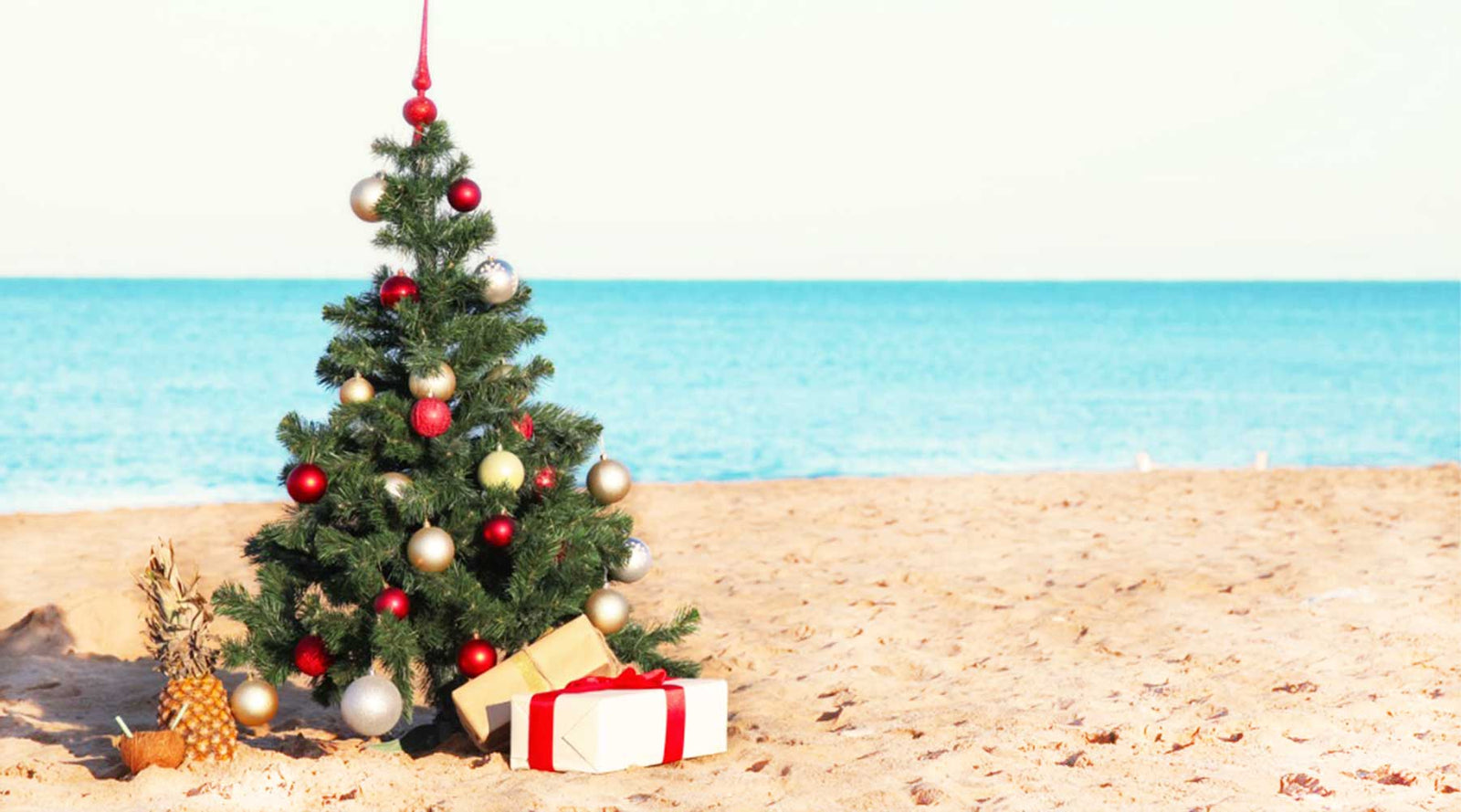 Best natural makeup gifts by Caley Cosmetics. 