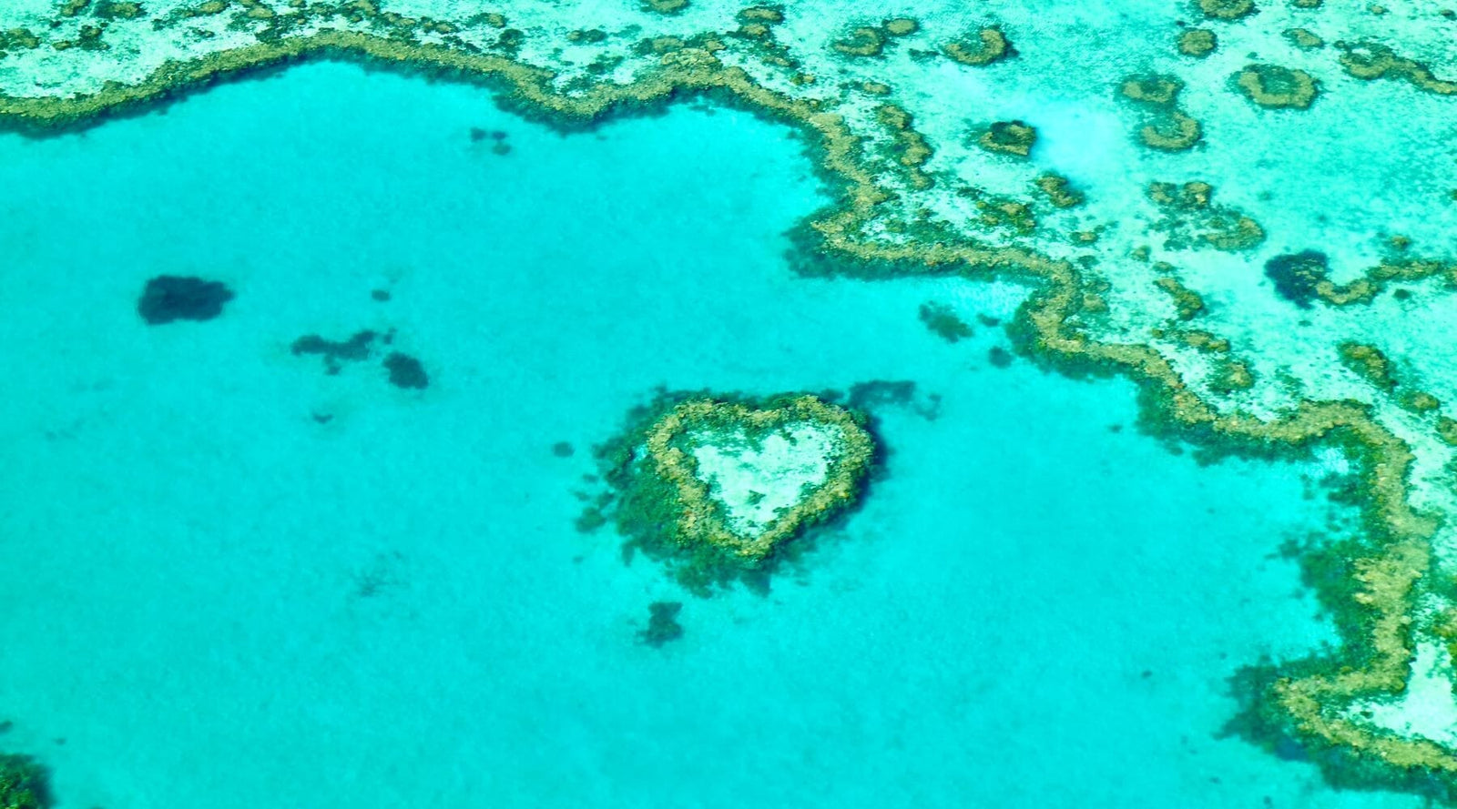 How-to strengthen your skin barrier