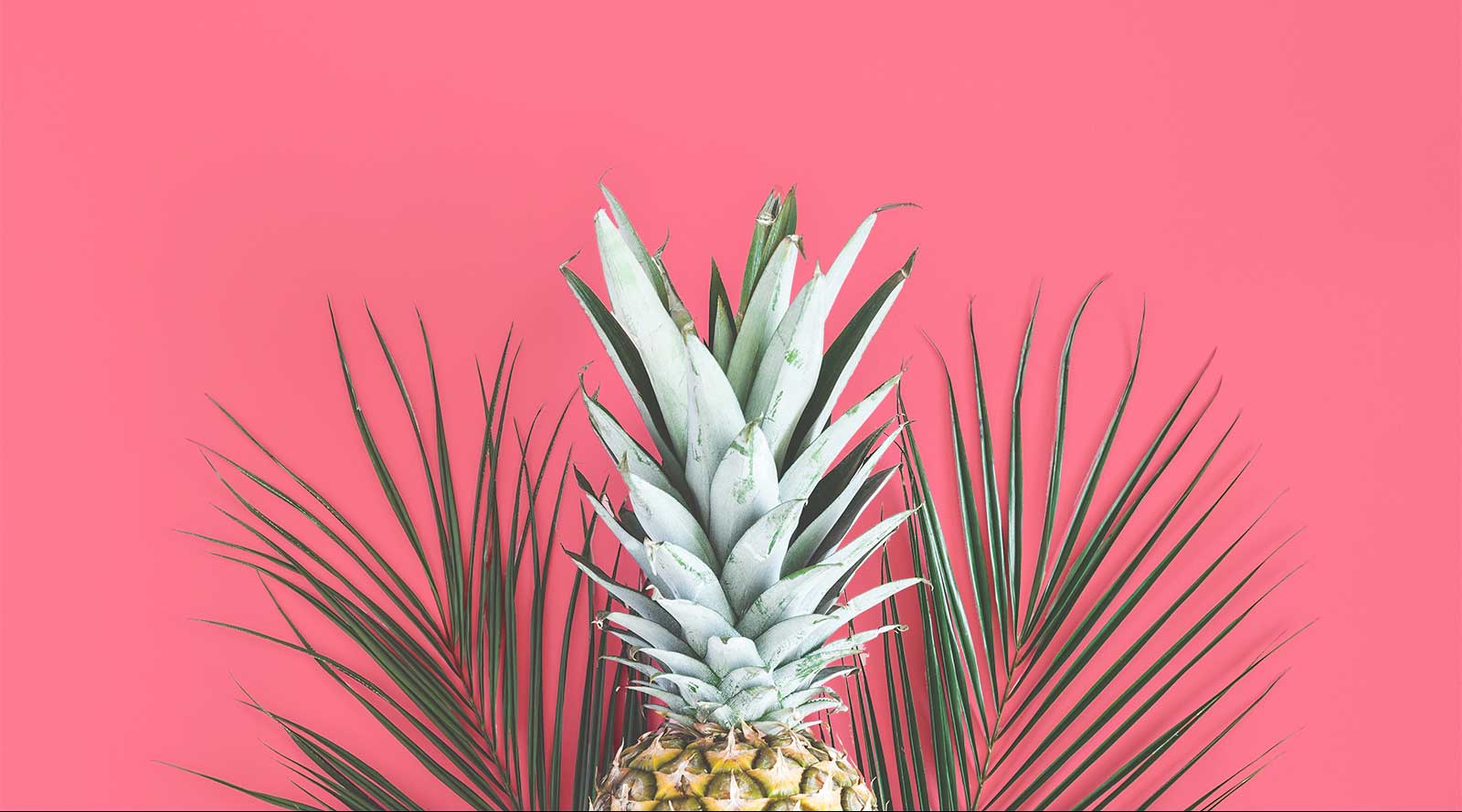 Ingredient Spotlight: Pineapple