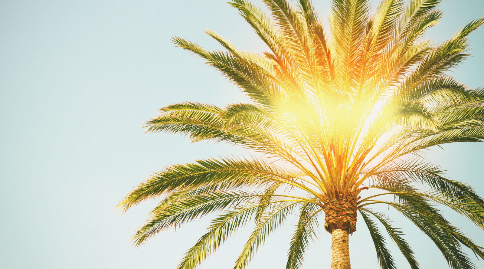 My Skin Cancer Story