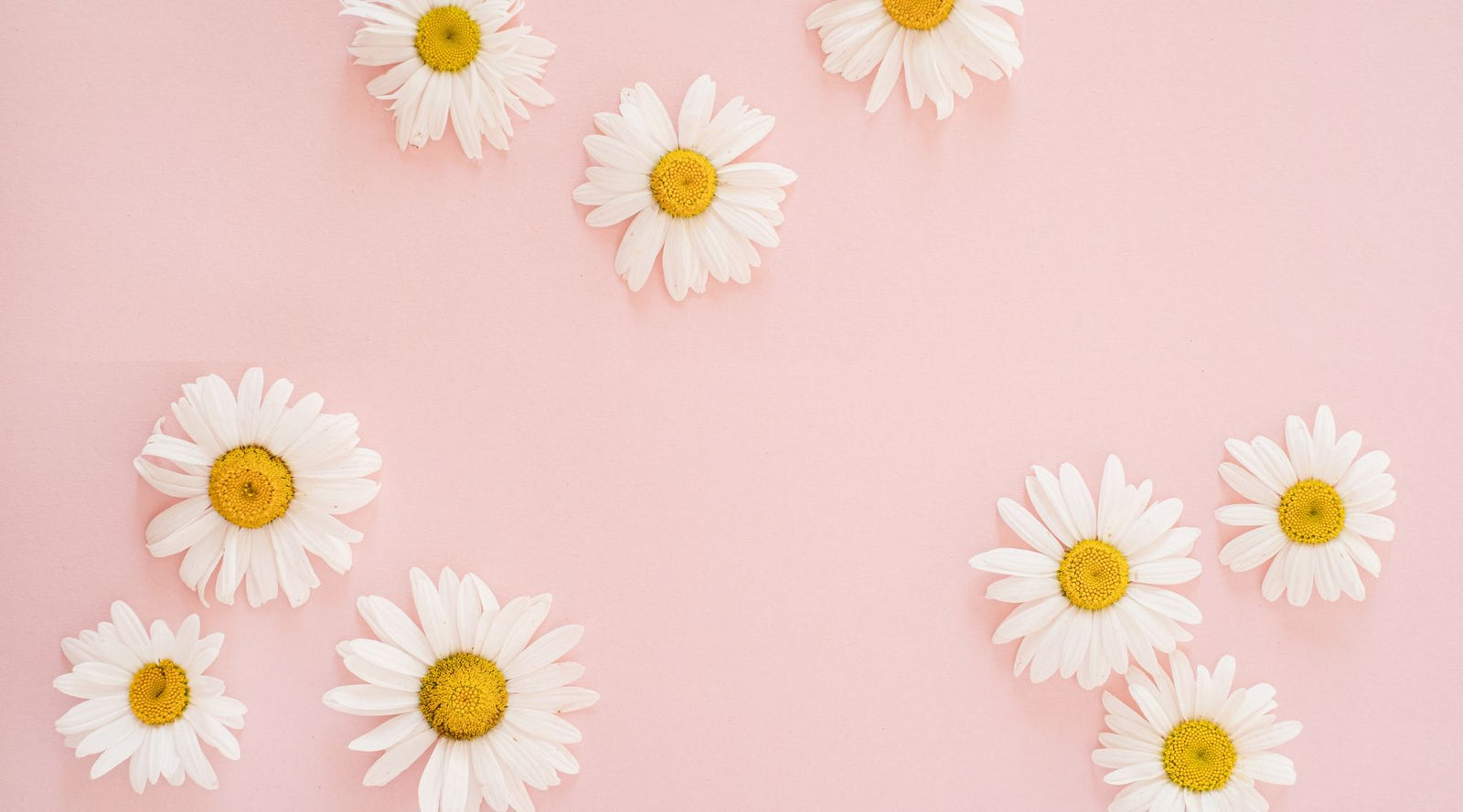 Pregnancy Safe Beauty Routine - Caley Cosmetics