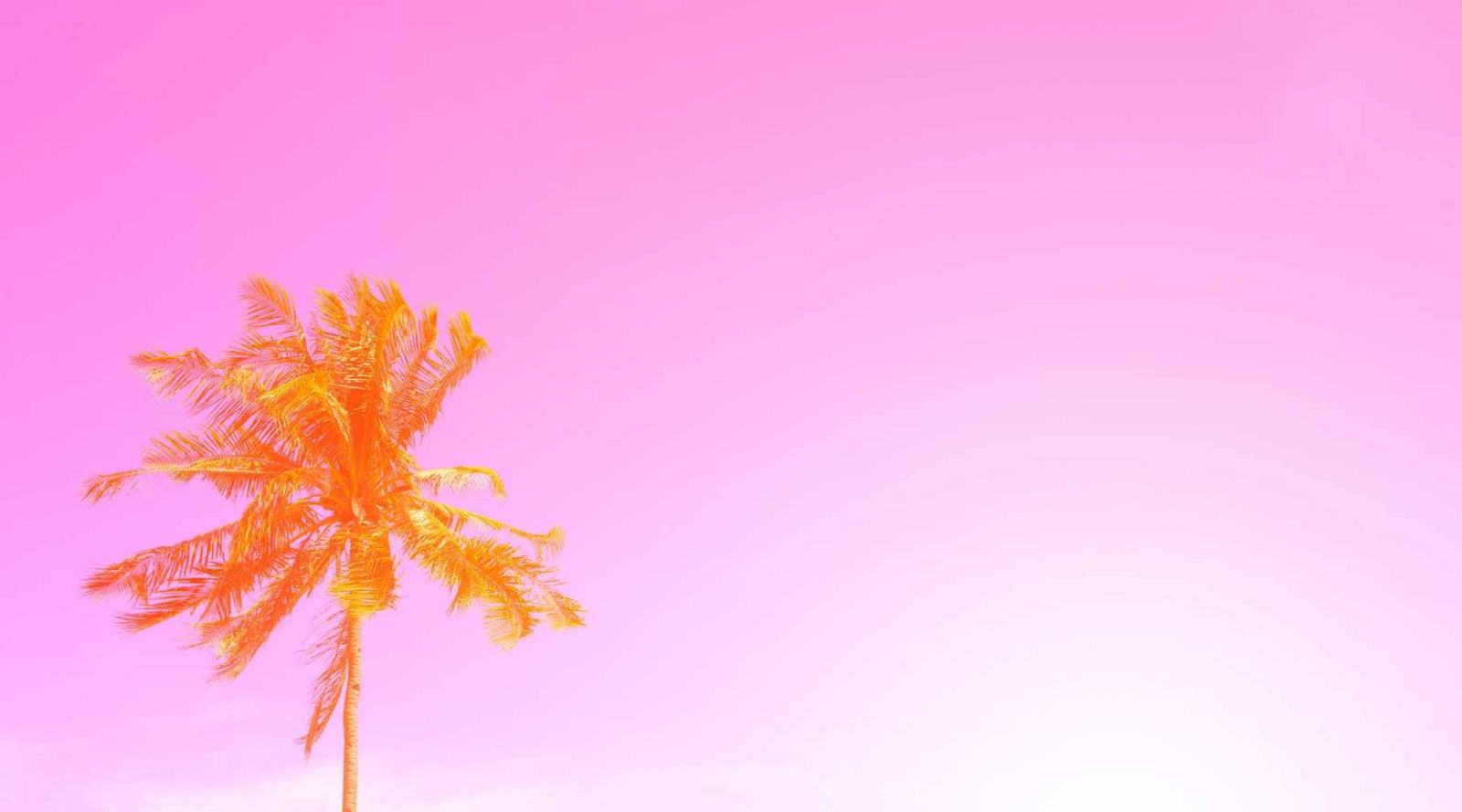 Summer Glow in Seconds