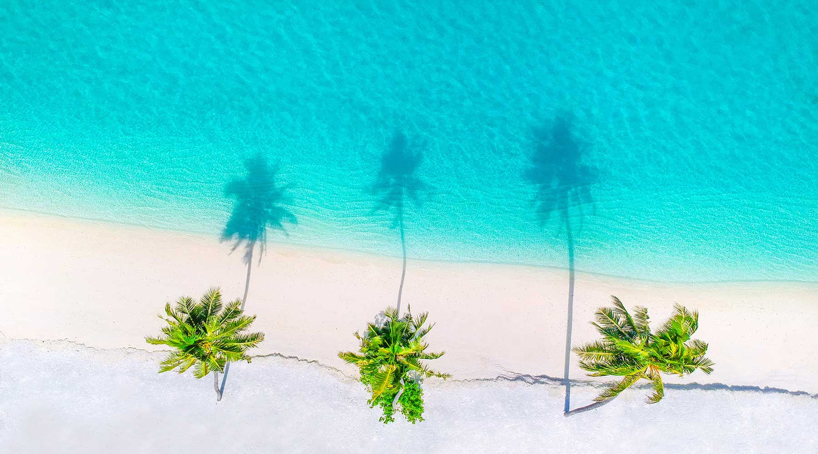 Summer Skin Survival