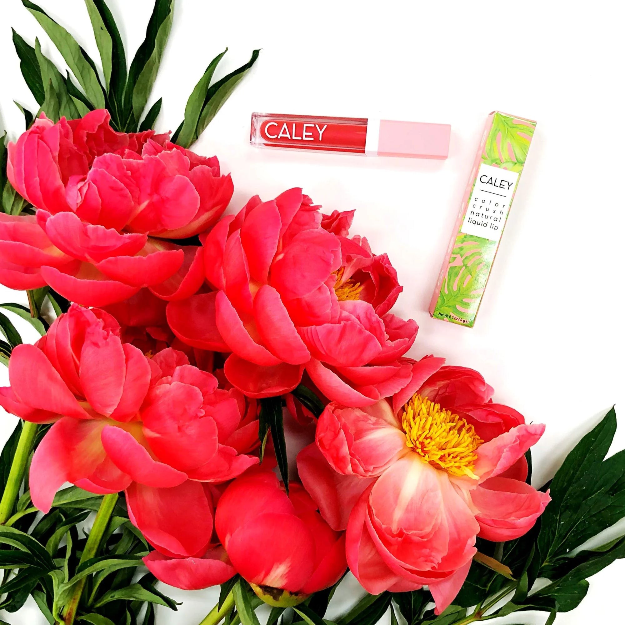 Discover the best natural liquid lipstick with probiotics from Caley Cosmetics. Our probiotic makeup is designed to enhance your beauty while nourishing your skin. Shop now for a healthier and more radiant look!